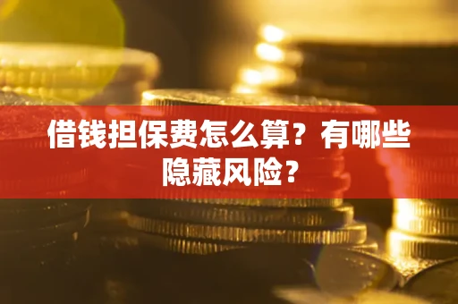 武汉借钱担保费怎么算？有哪些隐藏风险？