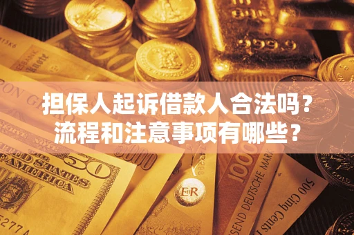 武汉担保人起诉借款人合法吗？流程和注意事项有哪些？