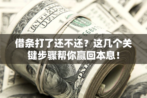 武汉借条打了还不还？这几个关键步骤帮你赢回本息！