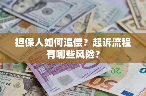 武汉担保人如何追偿？起诉流程有哪些风险？