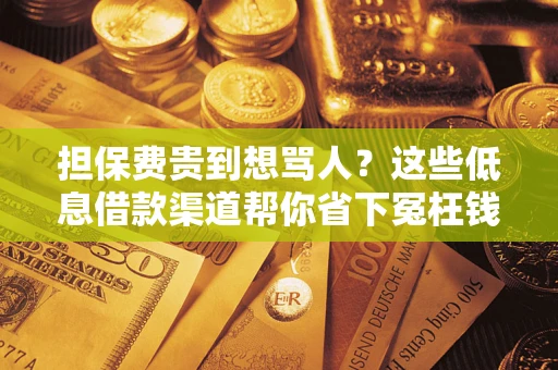 武汉担保费贵到想骂人？这些低息借款渠道帮你省下冤枉钱