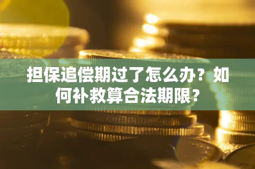 武汉担保追偿期过了怎么办？如何补救算合法期限？
