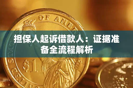 武汉担保人起诉借款人：证据准备全流程解析