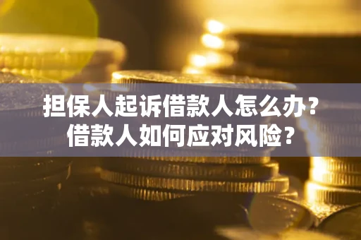 武汉担保人起诉借款人怎么办？借款人如何应对风险？