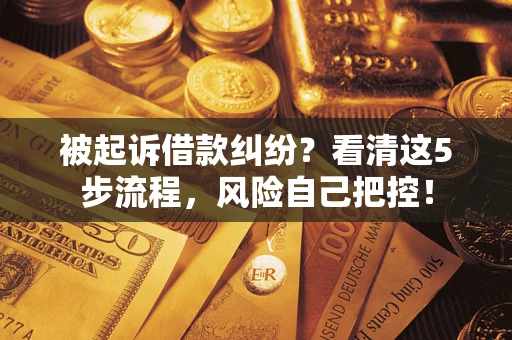 武汉被起诉借款纠纷？看清这5步流程，风险自己把控！
