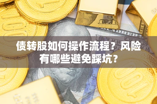 武汉债转股如何操作流程?风险有哪些避免踩坑? 武汉债转股如何操作流程?风险有哪些避免踩坑?