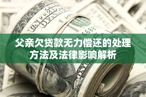 武汉父亲欠贷款无力偿还的处理方法及法律影响解析