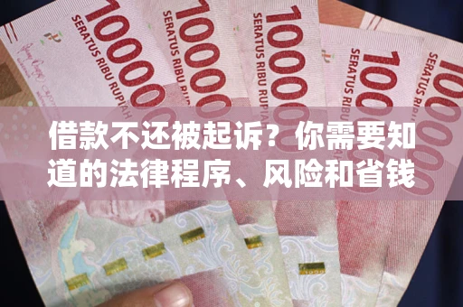 武汉借款不还被起诉？你需要知道的法律程序、风险和省钱技巧
