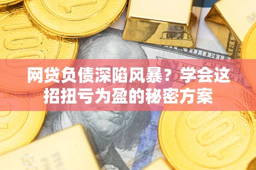 武汉网贷负债深陷风暴？学会这招扭亏为盈的秘密方案